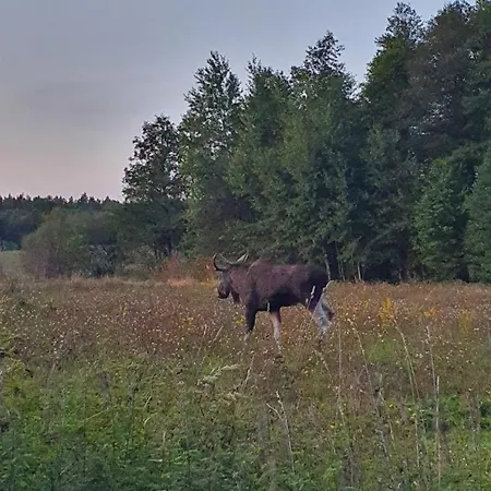Caloroczny -mazury Gizycko Sauna Jacuzii Kominek Prázdninový areál *