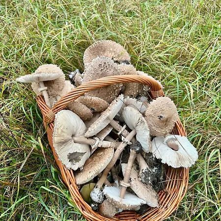 Caloroczny -mazury Gizycko Sauna Jacuzii Kominek Prázdninový areál Fuleda